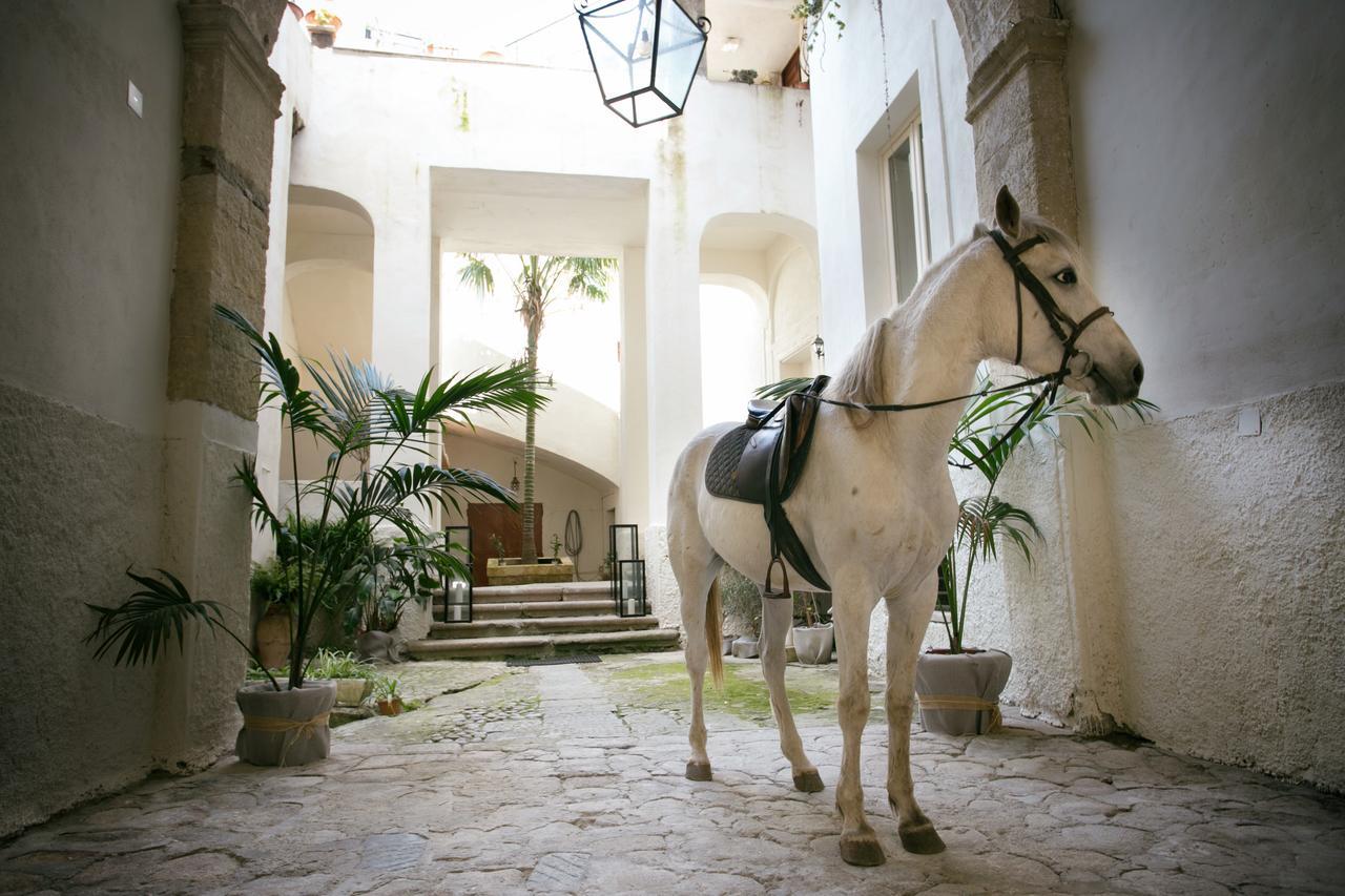 Il Marchese Del Grillo Apartment Tropea Ngoại thất bức ảnh